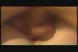 'Pink Clam' screenshot nº 130