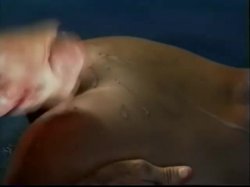 'Timeless' screenshot nº 125