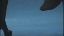 'Tanya Hyde's Dirt Chamber' screenshot nº 99