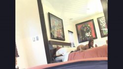'Cum All Over Me' screenshot nº 33