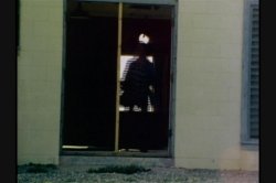 'Foxy Lady' screenshot nº 5