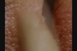 'Foxy Lady' screenshot nº 117