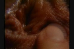 'Foxy Lady' screenshot nº 122