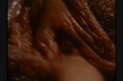'Foxy Lady' screenshot nº 124