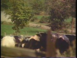 'That Lucky Stiff' screenshot nº 86