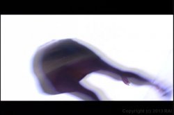 Captura de 'Stripped - Ava Rose' nº 83