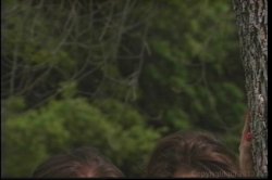 'SnakeDance' screenshot nº 78