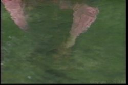 'SnakeDance' screenshot nº 11