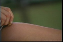 'SnakeDance' screenshot nº 16
