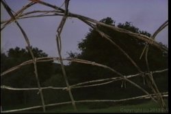 'SnakeDance' screenshot nº 30