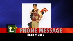 'Tiger's Got Wood' screenshot nº 66