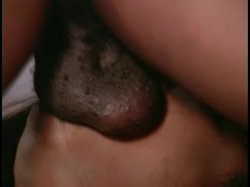 Captura de 'Black Supa-Stars Of Porn #13' nº 116