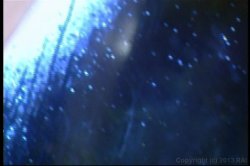 Captura de 'United Colors of Ass 9' nº 103