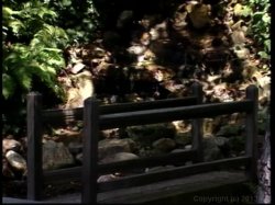 'Domination' screenshot nº 2