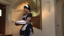 Captura de 'French Maid Service (Anna Apprentie Soubrette) (French)' nº 82