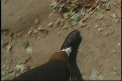 'Muffmania 6' screenshot nº 69
