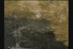 'Bare Naked' screenshot nº 88