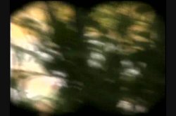 'Bare Naked' screenshot nº 100