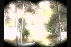'Bare Naked' screenshot nº 110
