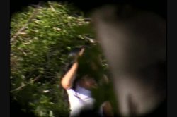 'Bare Naked' screenshot nº 17
