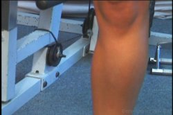 Captura de 'Body Builders in Heat 19' nº 3