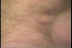 'Head North' screenshot nº 113