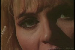 'Head North' screenshot nº 21