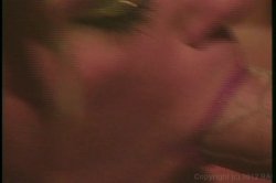 'Head North' screenshot nº 22