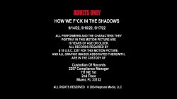 'How We Fuck In The Shadows' screenshot nº 1