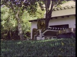 'Up for Grabs 1 (Adam & Eve)' screenshot nº 131