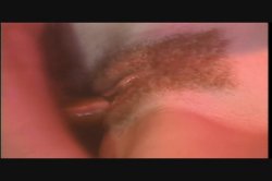 'Young Nympho' screenshot nº 95