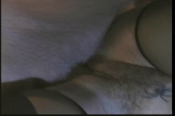 Captura de 'Bridget, PI' nº 29
