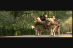 Captura de 'Story of Sophia' nº 47