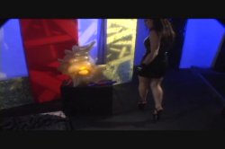 'Latex Diaries' screenshot nº 23