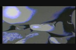 Captura de 'Puritan Video Magazine 22' nº 2