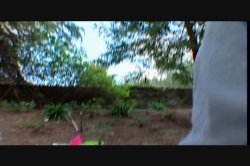 'Puritan Video Magazine 43: Sun & Skin' screenshot nº 8