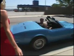 'Driving Passion' screenshot nº 13