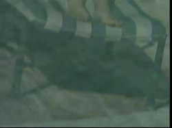 Captura de 'Wild On The Set Vol. One' nº 5
