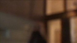 Captura de 'Exxxchange Student' nº 91