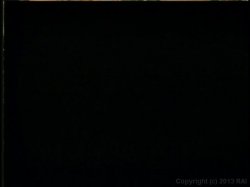'F*cking Rich 3' screenshot nº 92