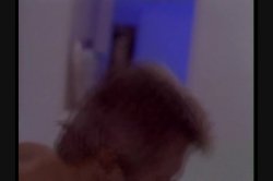 Captura de 'Nightclub' nº 131