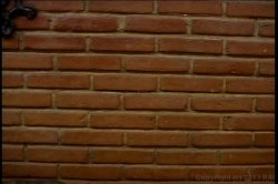'Teens Goin' Wild 18' screenshot nº 78