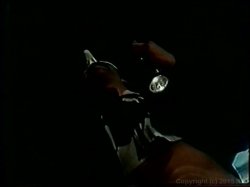 Captura de 'Erotic Novel' nº 112