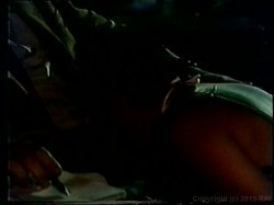 Captura de 'Erotic Novel' nº 23