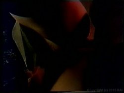 Captura de 'Erotic Novel' nº 25