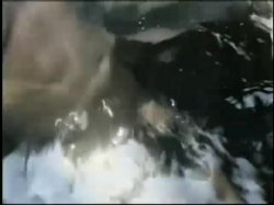'Chloe's Pool Party' screenshot nº 131