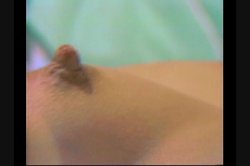 Captura de 'Anal Adventures Of John Holmes and Friends, The' nº 90