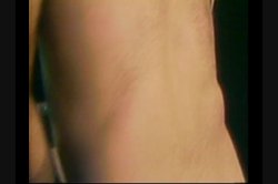 Captura de 'Anal Adventures Of John Holmes and Friends, The' nº 110