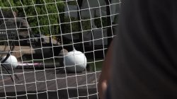 'Horny Youngsters' screenshot nº 30