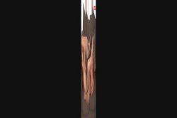 'Licklish Lesbians' screenshot nº 131